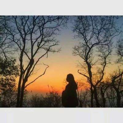 2023管家婆资料正版大全澳门app下载